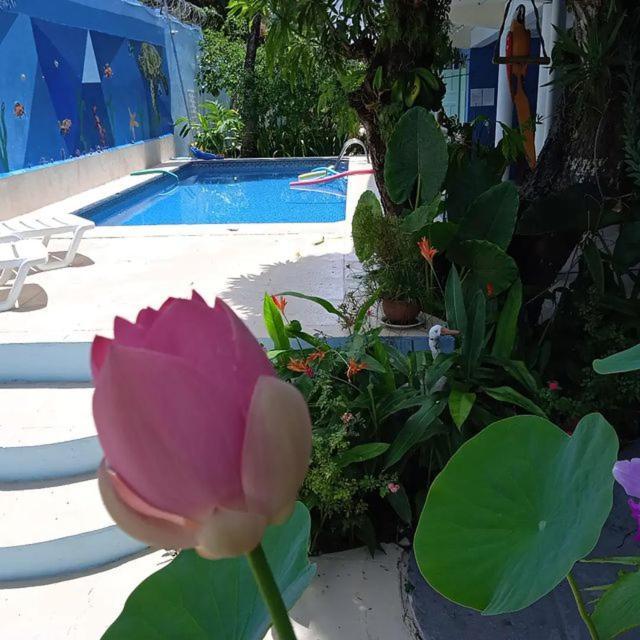 Porto Bahia Hotel Porto Seguro Luaran gambar